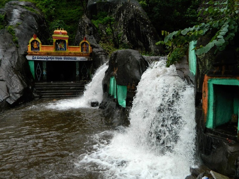  a hill station famous for its coffee estates and scenic treks. The misty mornings, lush valleys, and waterfalls such as Hebbe Falls and Kalhatti Falls provide a rejuvenating monsoon experience.