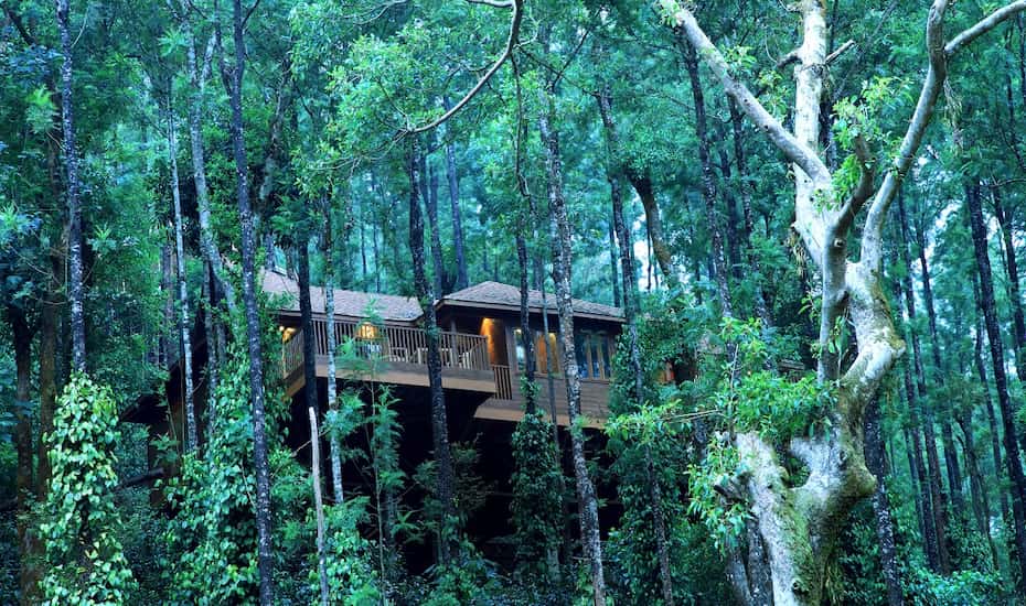 Coorg trip from Bangalore’, here’s our pocket guide for a mini family or honeymoon trip to Coorg.
