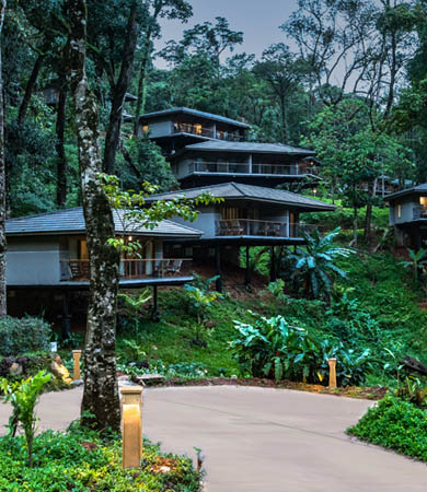 Coorg trip from Bangalore’, here’s our pocket guide for a mini family or honeymoon trip to Coorg.